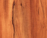 Pepper Tree